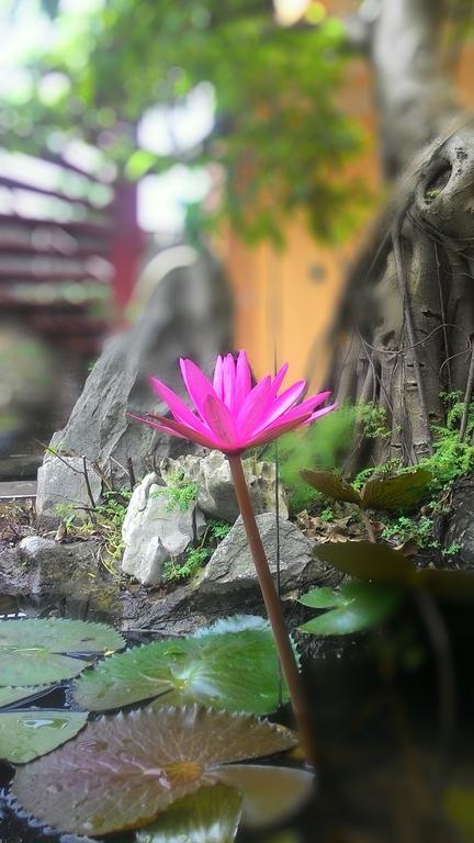 נין בין Tam Coc Green Homestay מראה חיצוני תמונה
