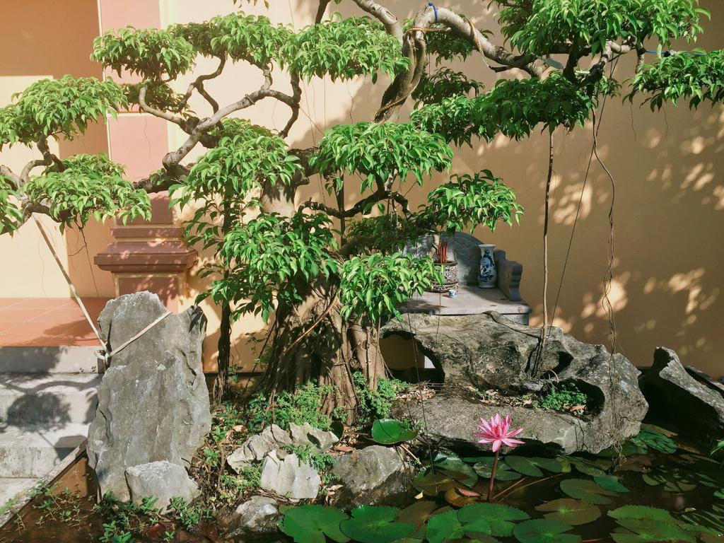 נין בין Tam Coc Green Homestay מראה חיצוני תמונה